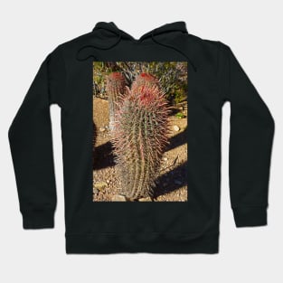 Desert Study 27 Hoodie